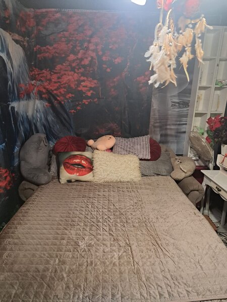 Rahova, Petre Ispirescu.